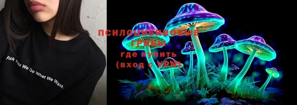 прущий лед Абаза